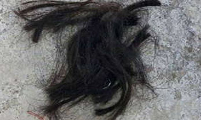 Fresh Braid Chopping incidents triggers Panic in Jammu & Kashmir - Paigaam Fresh Braid Chopping incidents triggers Panic in Jammu & Kashmir - Paigaam