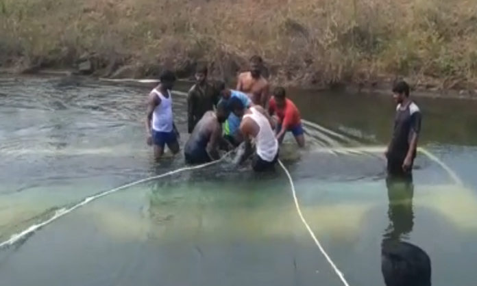 Bus falls into Canal