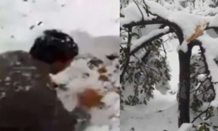 Heartbreaking video of sobbing Kashmiri apple farmer goes viral