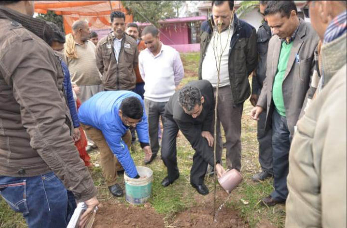 Sericulture Deptt launches Mulberry Plantation drive-5