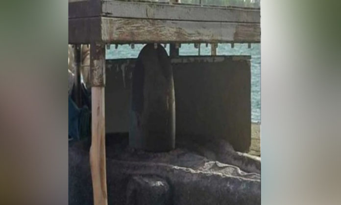 shivlinga Narmada in Maheshwar