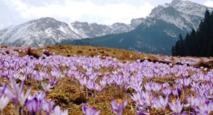 Screenshot_20200503-225543_Google