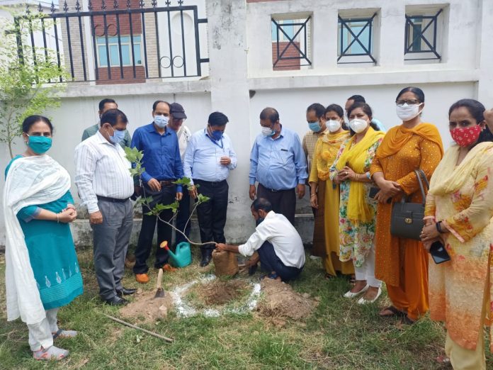 WhatsApp Image 2021-08-12 at 3.52.48 PM