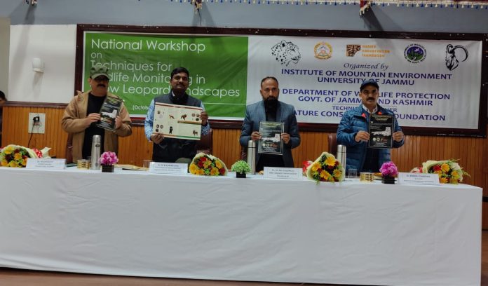 WhatsApp Image 2023-10-17 at 4.32.14 PM (1)