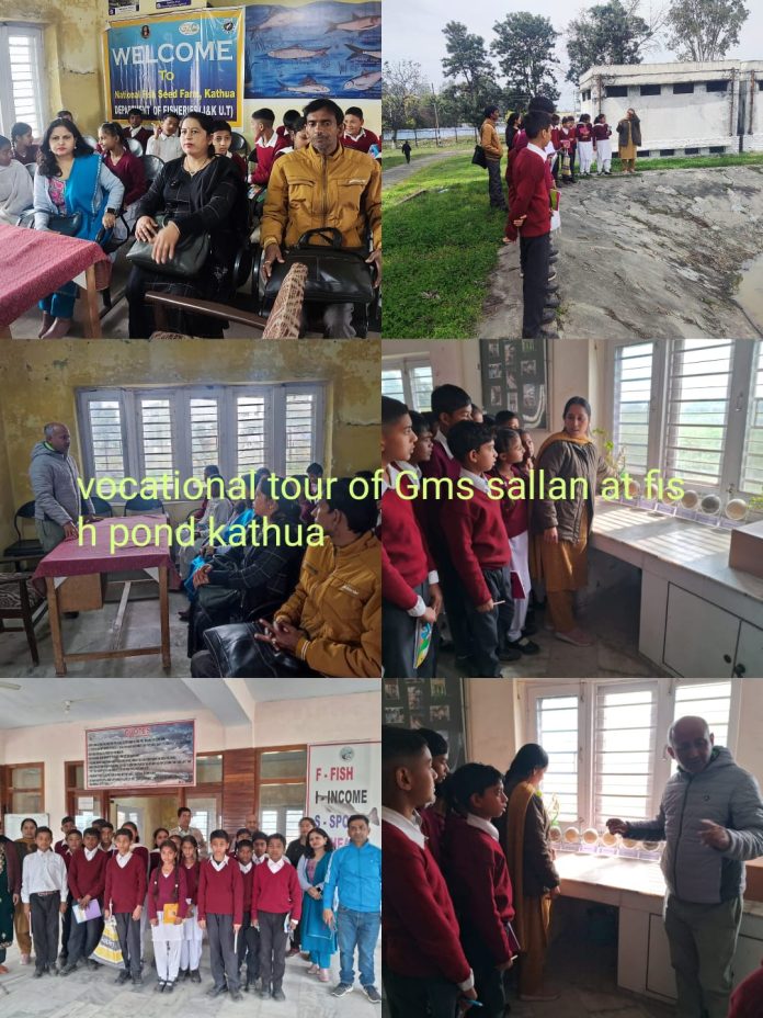 WhatsApp Image 2024-03-01 at 2.45.15 PM