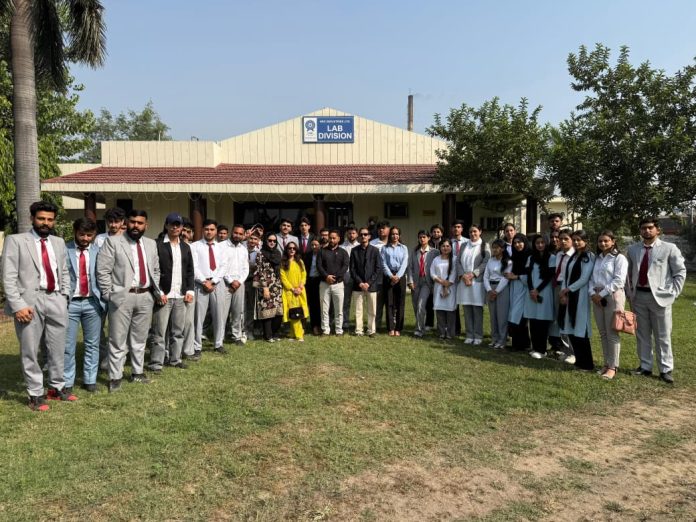 WhatsApp Image 2025-11-20 at 12.07.20 PM